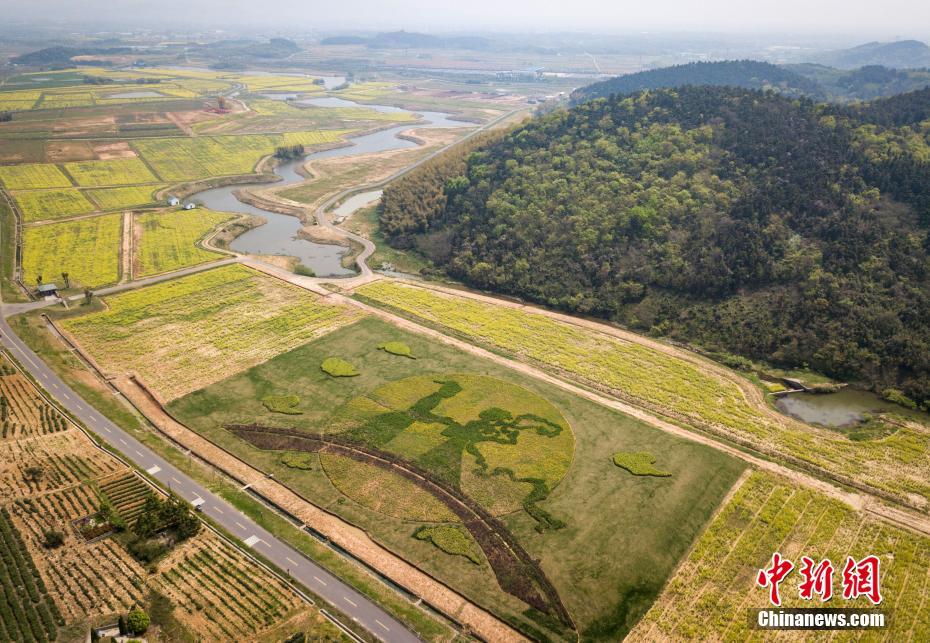 南京市に民間説話の名場(chǎng)面テーマにした田んぼアート出現(xiàn)