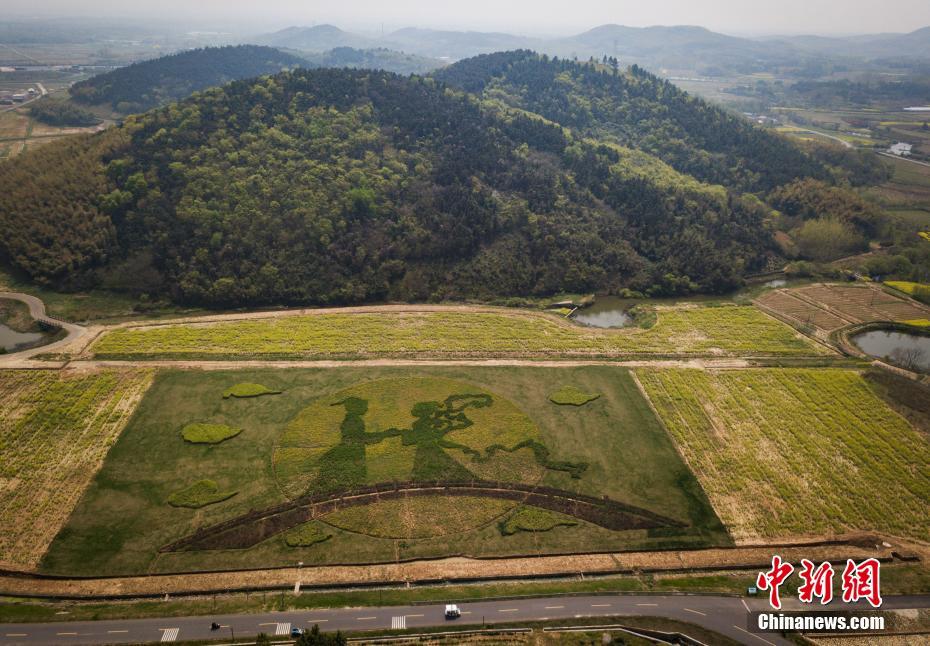 南京市に民間説話の名場面テーマにした田んぼアート出現(xiàn)