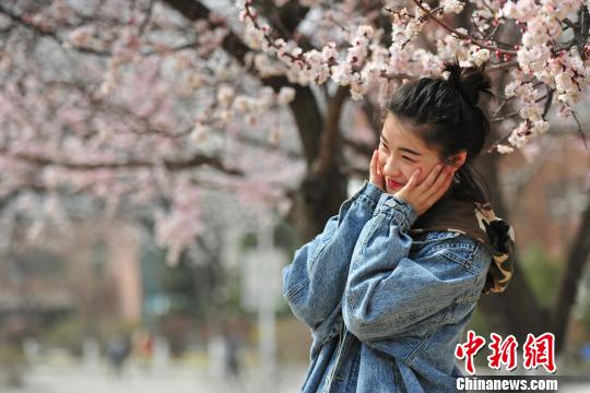 ピンク一色の美しい風(fēng)景広がる　遼寧省瀋陽(yáng)市で桃の花が満開(kāi)に