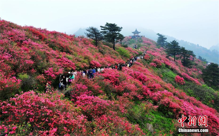 湖北黃岡大別山地質公園がユネスコ世界ジオパークに