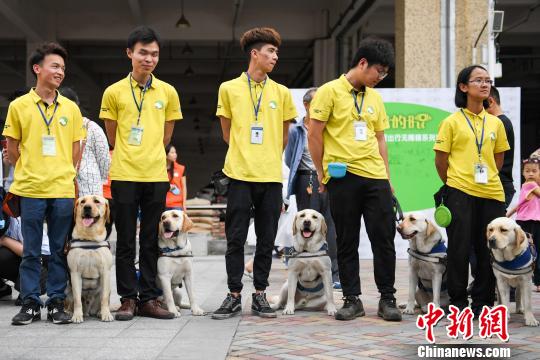 「第1回広州國際盲導(dǎo)犬フェスティバル」広州で開催