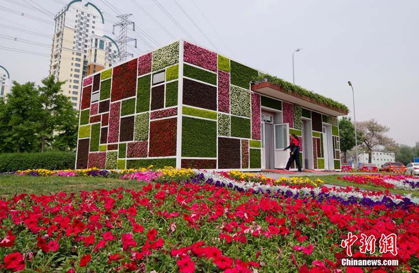 外壁には様々な観葉植物　立體緑化公衆(zhòng)トイレが北京に登場