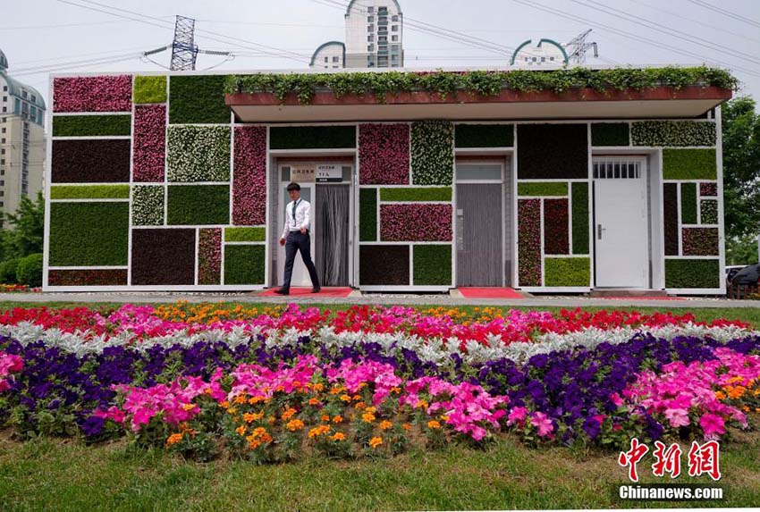 外壁には様々な観葉植物　立體緑化公衆(zhòng)トイレが北京に登場(chǎng)