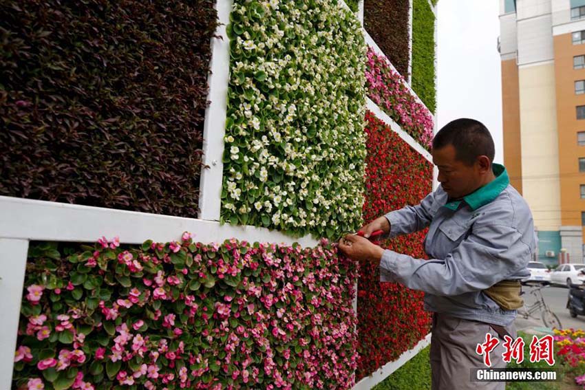 外壁には様々な観葉植物　立體緑化公衆(zhòng)トイレが北京に登場