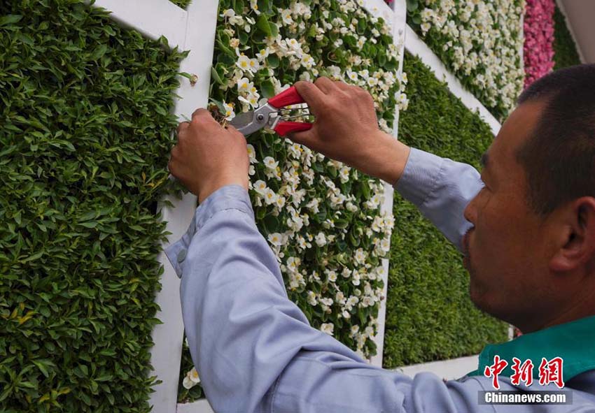 外壁には様々な観葉植物　立體緑化公衆(zhòng)トイレが北京に登場(chǎng)