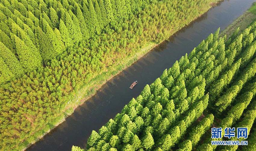 青々とした森林広がる絶景　江蘇省の黃海國家森林公園