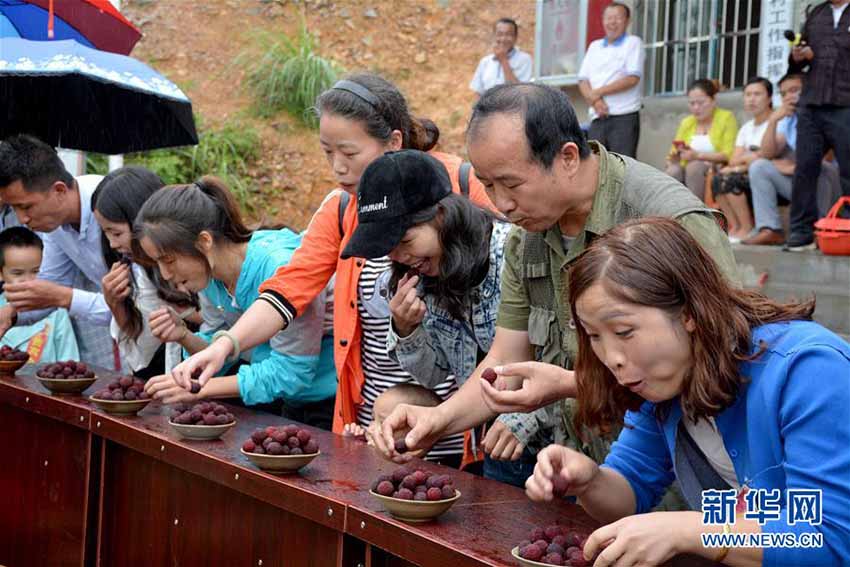 品評會から大食い大會までヤマモモ盡くし！貴州省のヤマモモ祭り