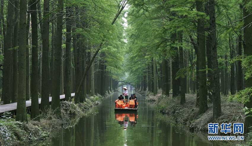 まるで絵巻物の世界、「水上森林公園」を巡る　江蘇省