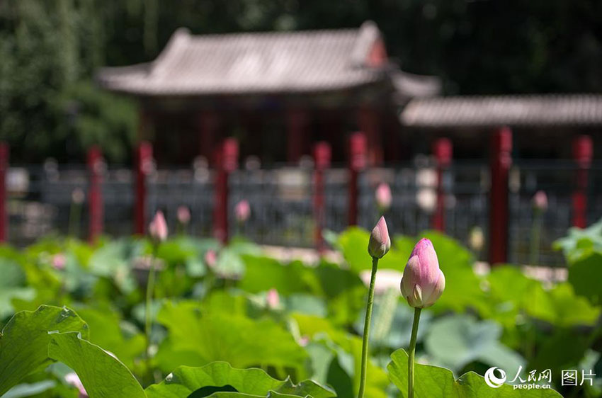 人民日報が創(chuàng)刊70周年