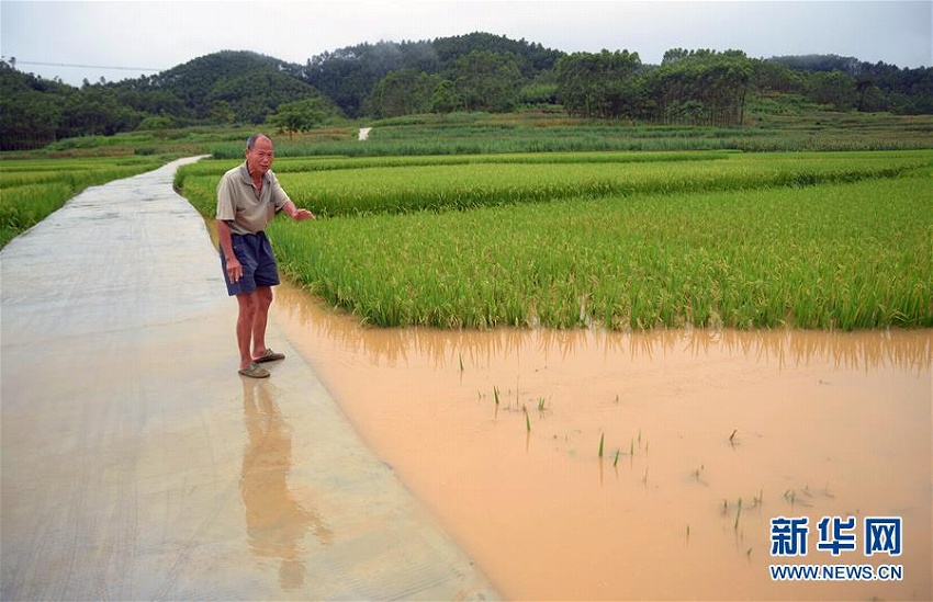 広西壯族自治區(qū)各地で洪水多発し、被災(zāi)者9萬人以上に