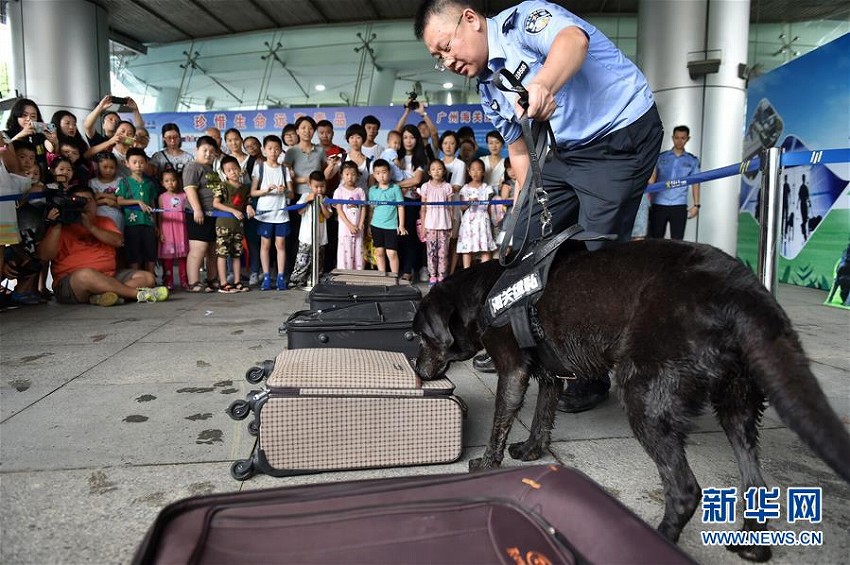 麻薬探知犬が一般公開イベントで捜査の様子を?qū)g演　広東省