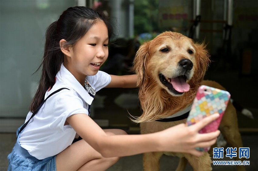 麻薬探知犬が一般公開イベントで捜査の様子を?qū)g演　広東省