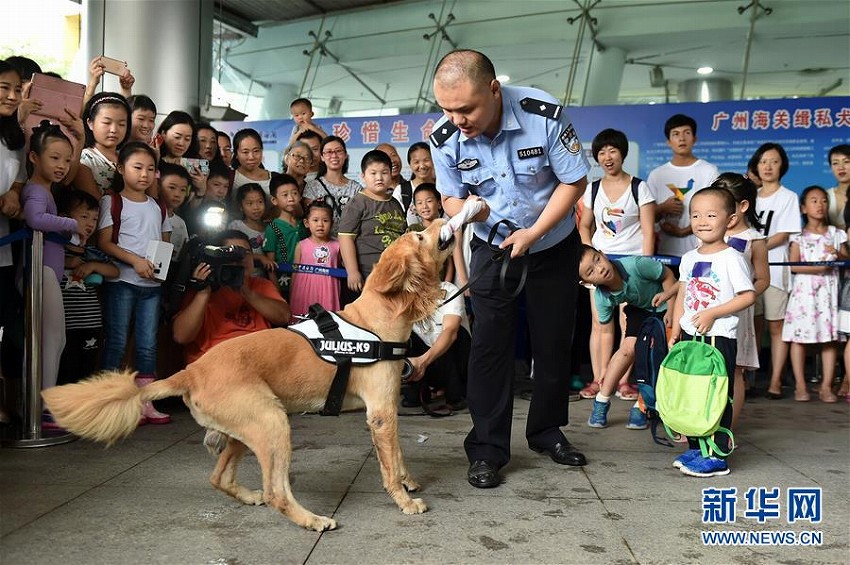 麻薬探知犬が一般公開イベントで捜査の様子を?qū)g演　広東省