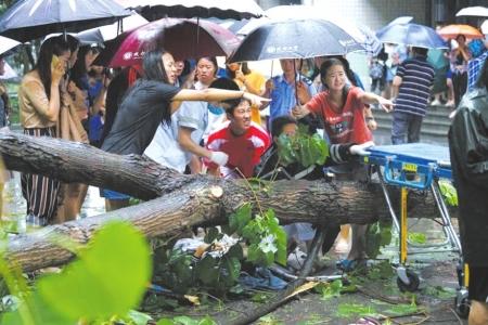 暴風(fēng)雨で倒れた木の下敷きになった男性を女子大生が協(xié)力して救出　四川省