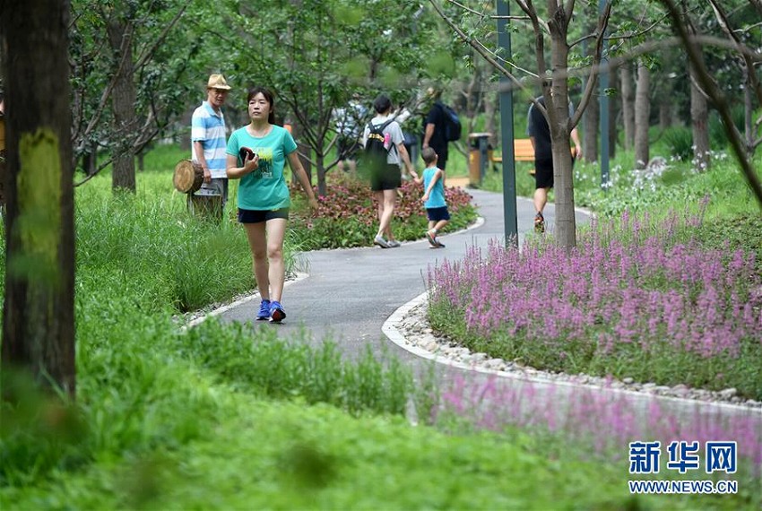 北京市東城區(qū)初の都市森林公園がオープン