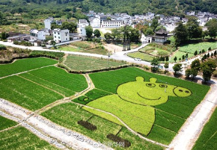 安徽の田んぼに「ペッパピッグ」や「ハローキテ?！工菆?chǎng)