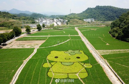 安徽の田んぼに「ペッパピッグ」や「ハローキテ?！工菆?></a></td></tr><tr><td class=