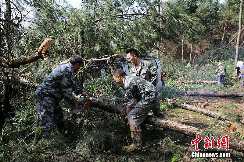 四川省內(nèi)江市で暴風(fēng)雨被害　被災(zāi)地は無殘な姿に