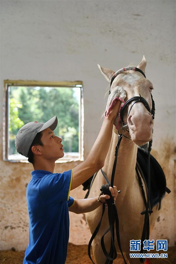 夢は競馬の騎手！ 陽光馬術(shù)學(xué)校の生徒たち