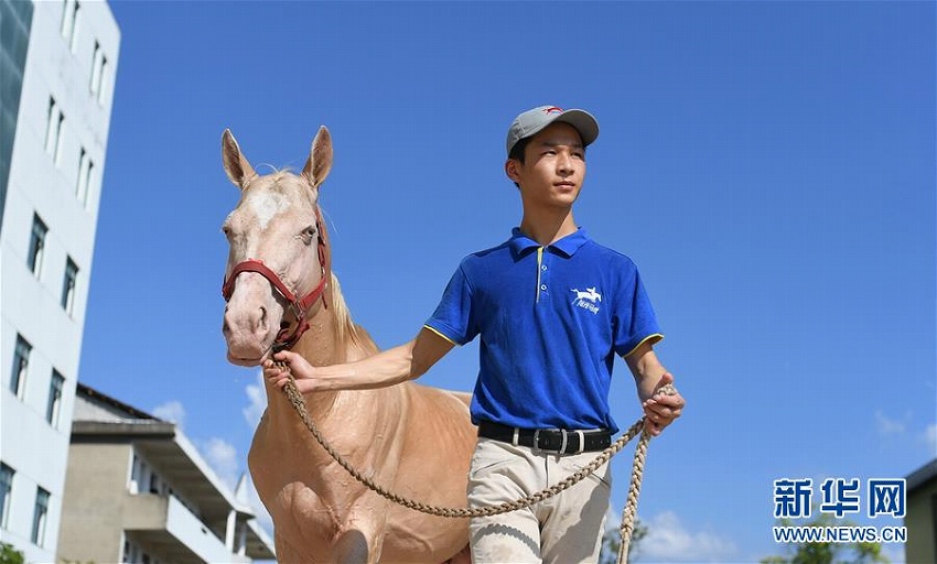 夢は競馬の騎手！ 陽光馬術(shù)學(xué)校の生徒たち