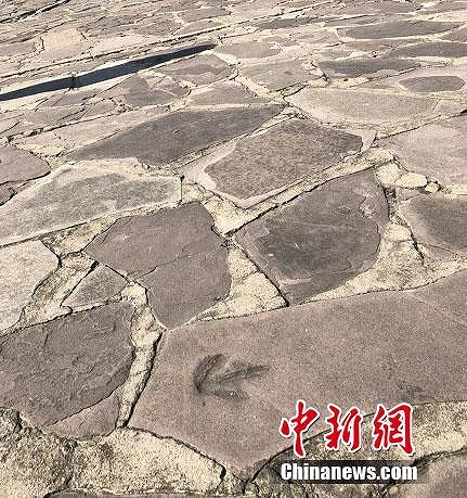 承徳避暑山荘とその周辺寺院から恐竜の足跡250個以上を発見