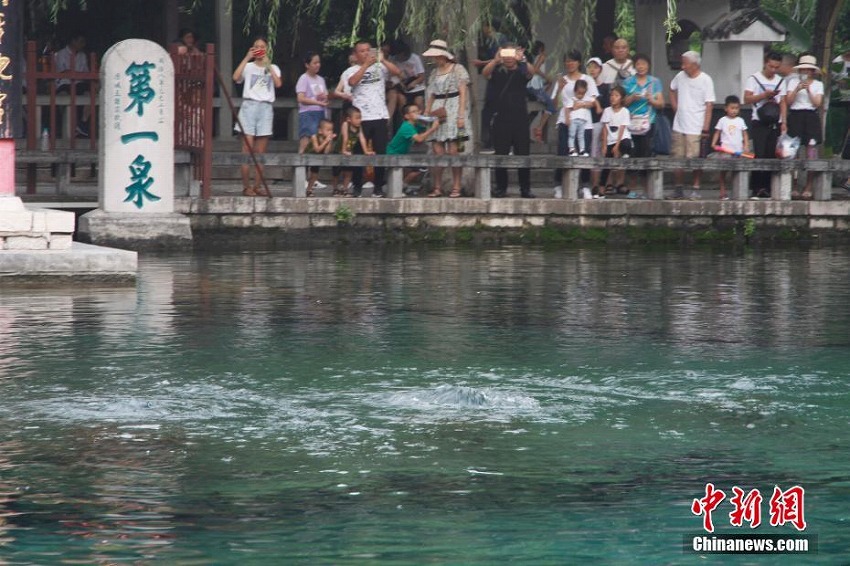 臺風(fēng)の影響で趵突泉の水位上昇、水湧き上がる光景再び　山東省