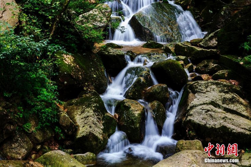 秋雨が上がるとそこは仙境　幻想的な景色広がる黃山風(fēng)景區(qū)