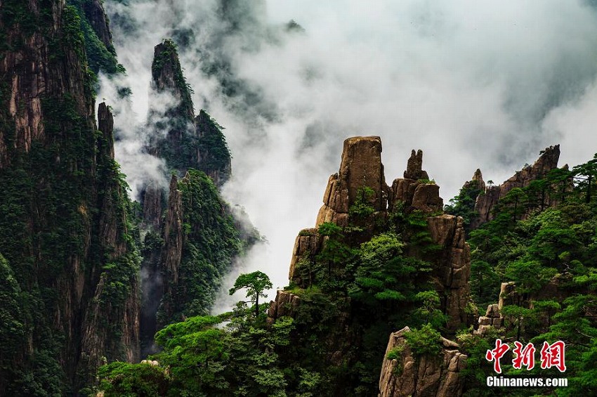 秋雨が上がるとそこは仙境　幻想的な景色広がる黃山風(fēng)景區(qū)