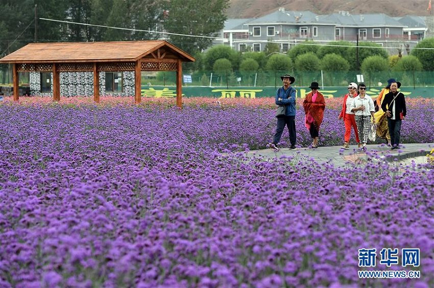 発展続ける農(nóng)村観光で農(nóng)家の収益も拡大　甘粛省