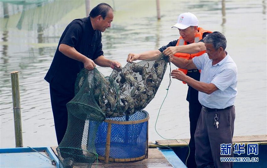 蘇州陽澄湖で観光祭開催　上海蟹の捕獲體験を楽しむ観光客