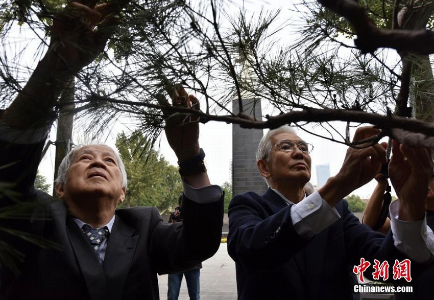 日本の植樹訪中団33回目の南京訪問　南京大虐殺の犠牲者を追悼