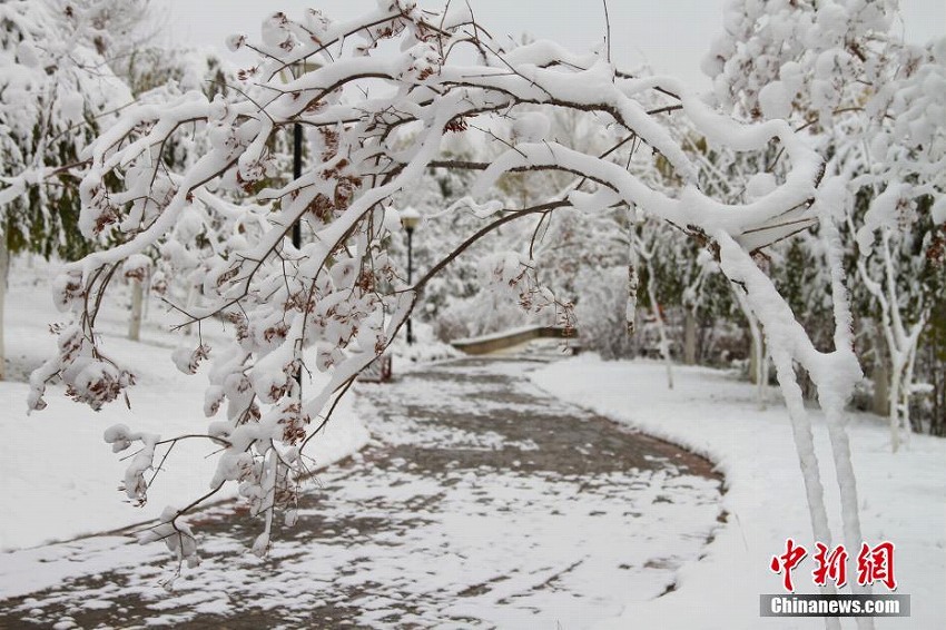 青海省西寧市で降雪　都市全體が白銀の世界と化す　