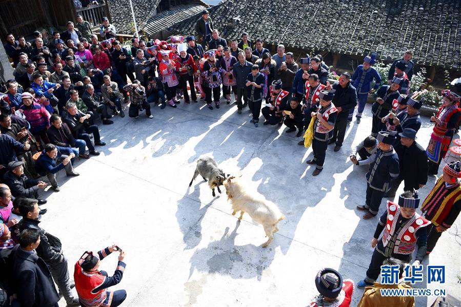 古代の神様を祭る瑤族の「盤王節(jié)」が開催