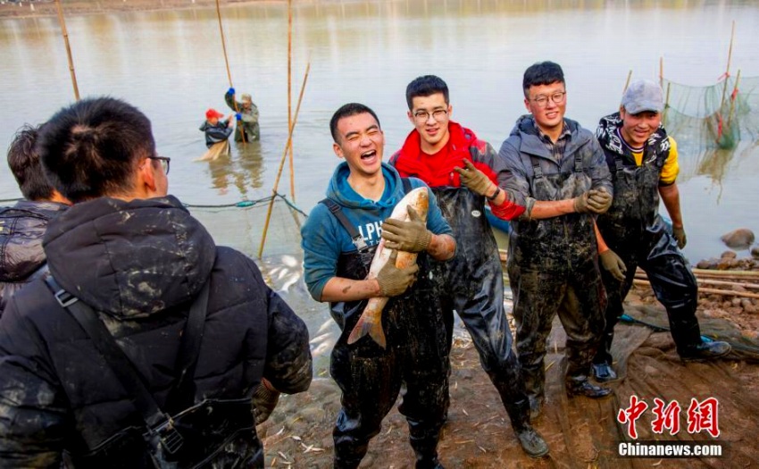 魚を捕まえ、作って、食べよう！武漢の大學(xué)で「沁湖魚宴」イベント