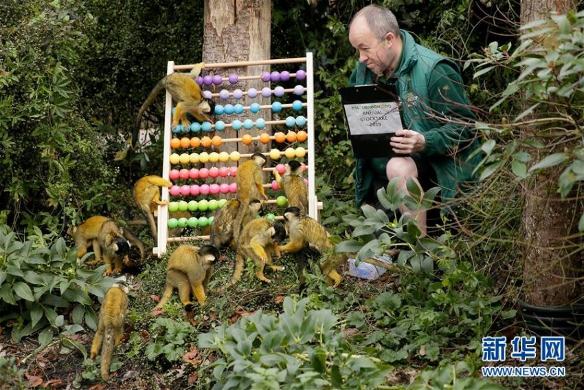 ロンドン動物園で年に1度の動物の數(shù)を數(shù)える検査