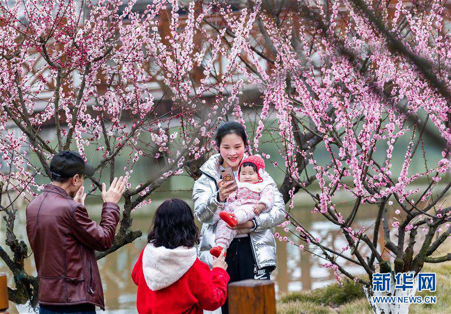 花を眺めて新年を迎える　各地で花満開