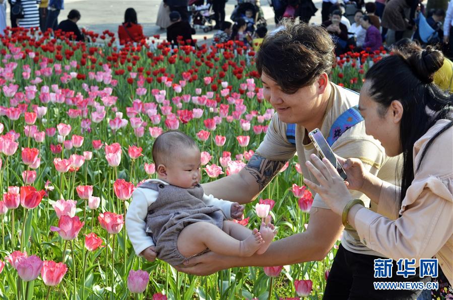 花を眺めて新年を迎える　各地で花満開(kāi)