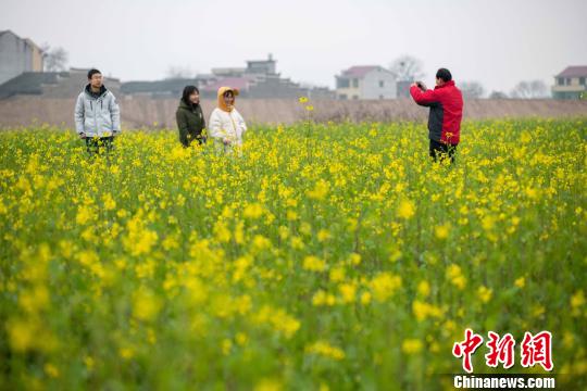 アブラナ開花、春めく江西省の農(nóng)村