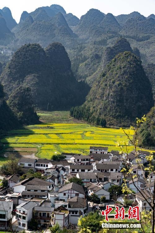 民家と満開のアブラナが織りなす美しい風(fēng)景（撮影?賀俊怡）。