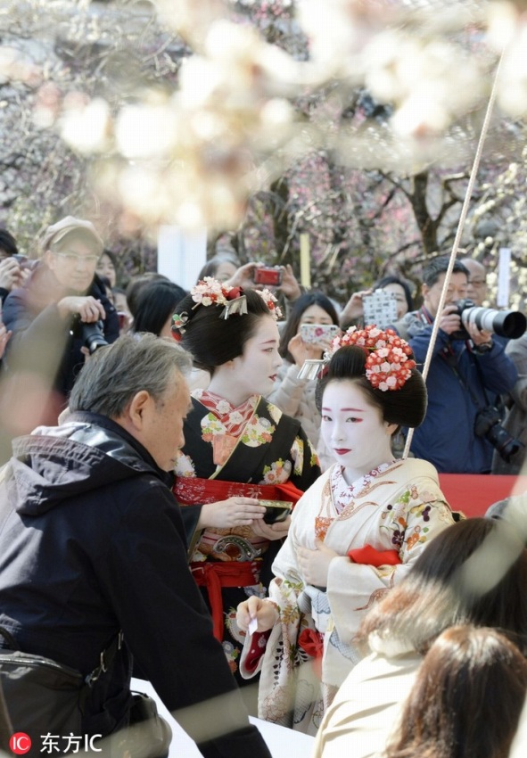 北野天満宮で「梅花祭」、艶やかな舞妓も登場(chǎng)