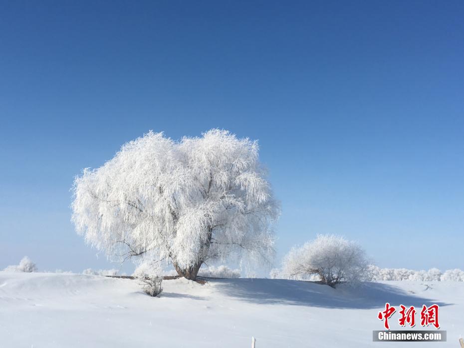 一面の樹氷が織りなす美しい風(fēng)景　新疆北部の富蘊(yùn)県