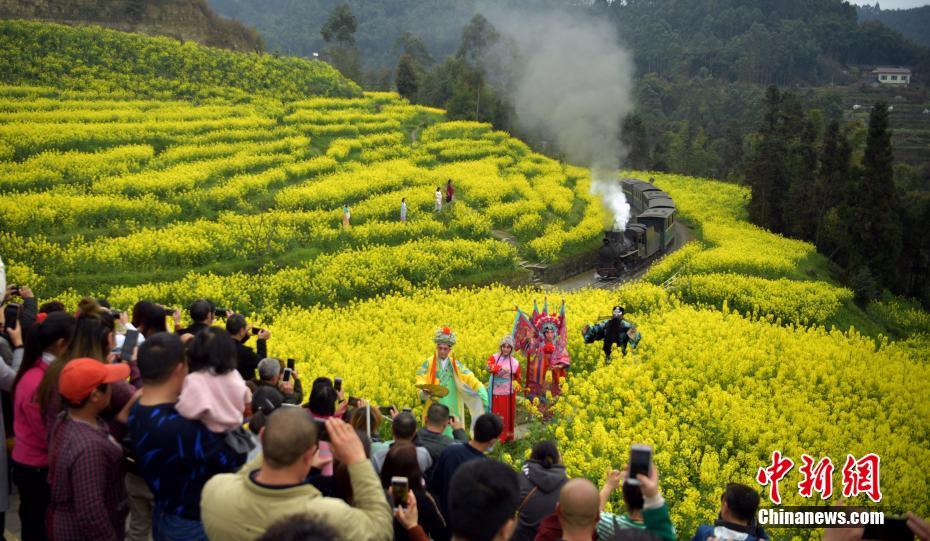 菜の花畑を走り抜ける嘉陽SLをカメラに収める観光客たち（3月12日撮影?劉忠?。?。