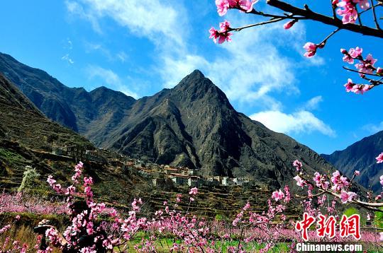 桃の花が彩り添える集落（撮影?高雪飛）。