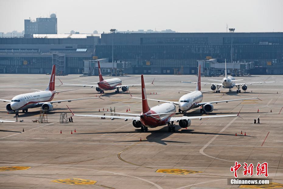 上海虹橋國(guó)際空港に駐機(jī)されている上海航空公司が所有する9機(jī)のボーイング737MAX型機(jī)（撮影?殷立勤）。