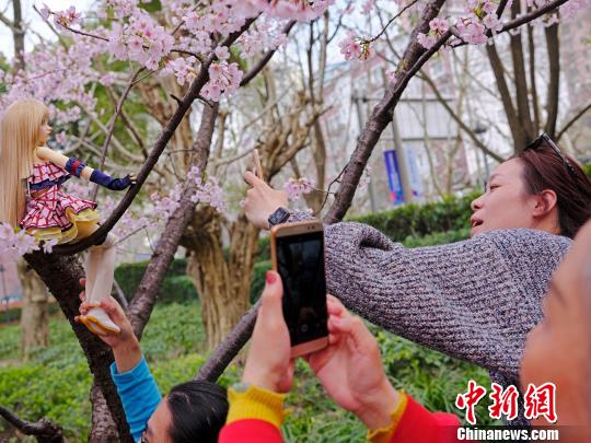 桜色満開！上海靜安彫塑公園の桜並木に押し寄せる花見客