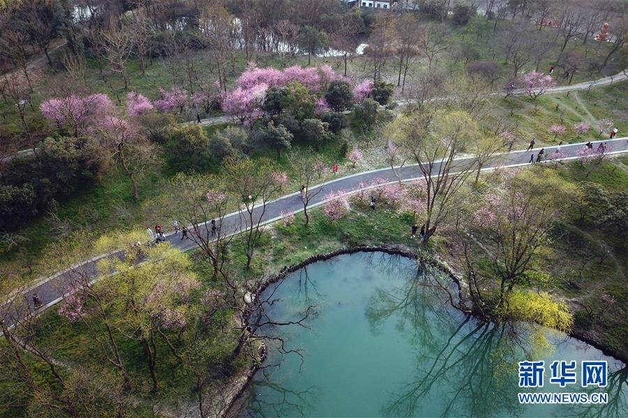 西溪濕地を散策する観光客の様子（3月16日ドローンによる撮影?黃宗治）。