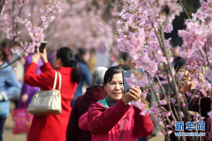 北京市の玉淵潭公園公園で早咲きの桜を楽しむ花見(jiàn)客（3月18日撮影?李俊東）。