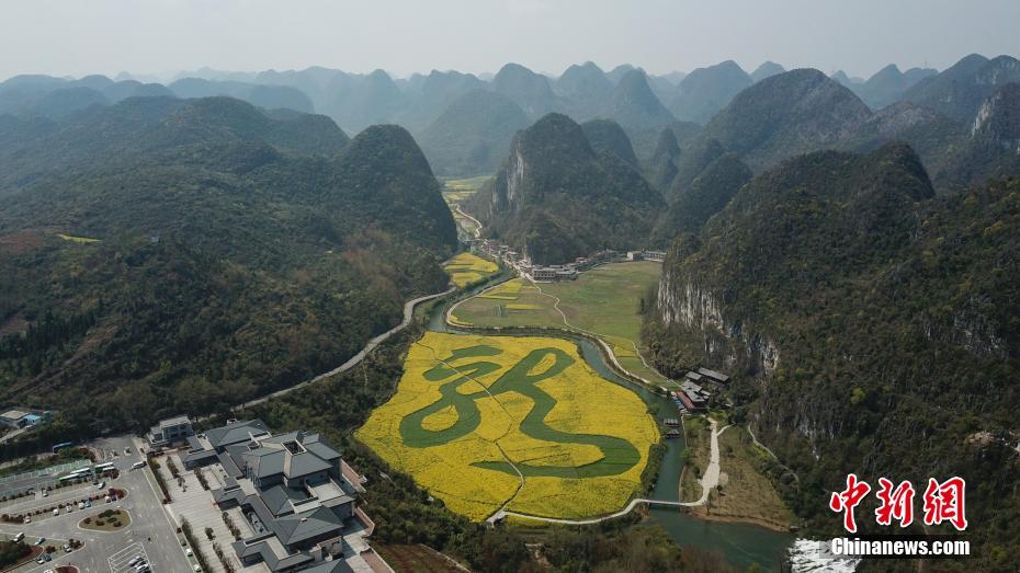 満開(kāi)の菜の花畑に浮かぶ「龍」の文字　貴州省安順市