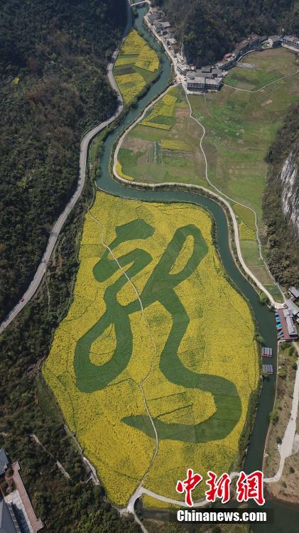 満開(kāi)の菜の花畑に浮かぶ「龍」の文字　貴州省安順市