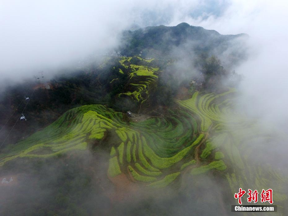 曲線がまるで指紋のように見える上空から俯瞰した棚田の風(fēng)景（撮影?曹加祥）。